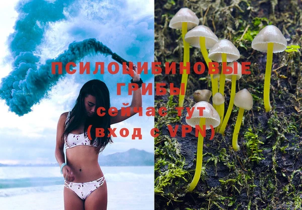кокаин Новозыбков