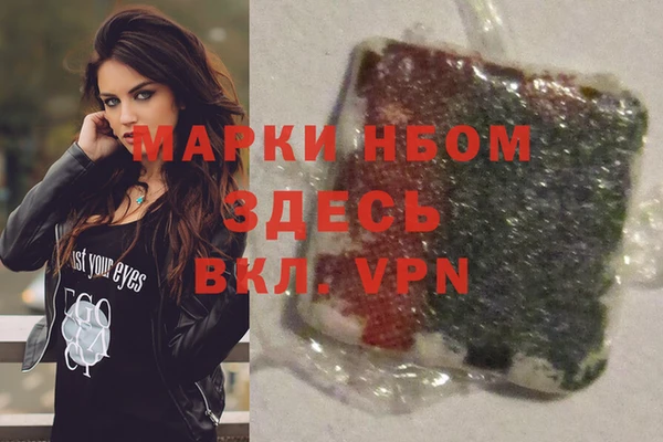 спиды Новодвинск