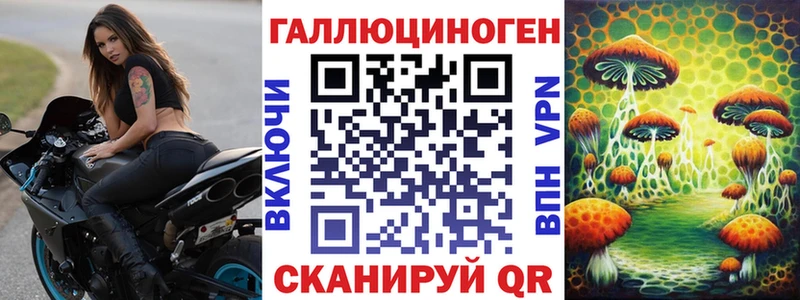 купить   Кирс  Псилоцибиновые грибы MAGIC MUSHROOMS 